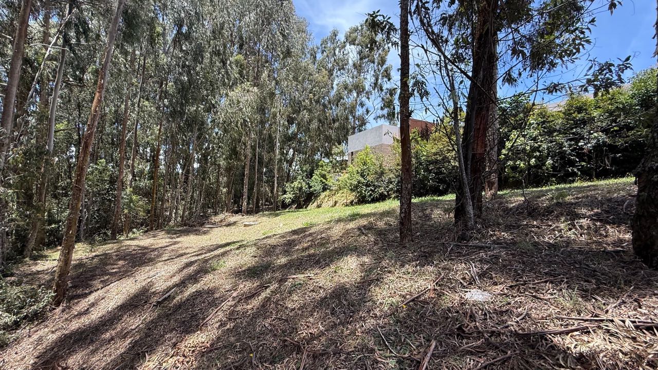 Venta Exclusivo Lote Alto De Las Palmas Envigado Antioquia