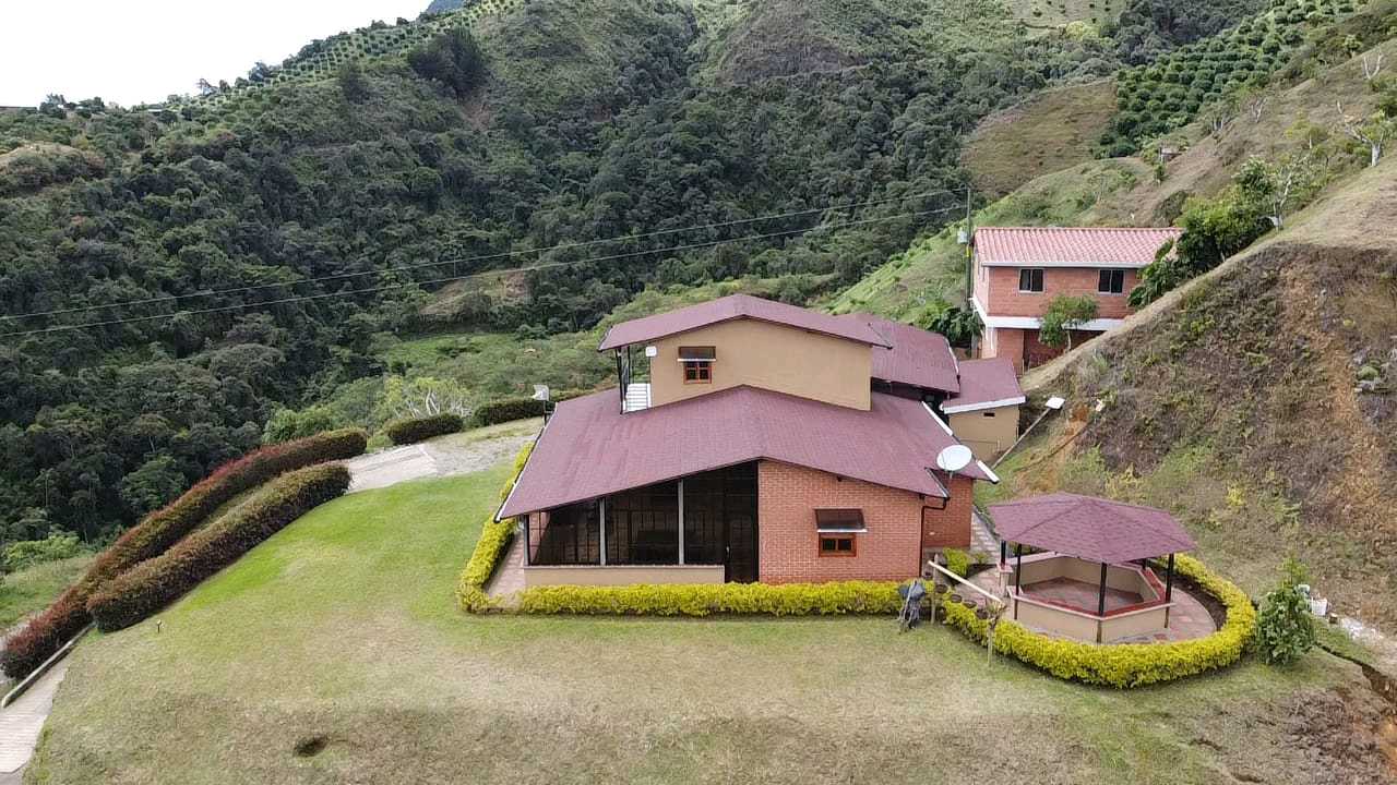 Venta Finca Productora De Aguacate Abejorral Antioquia