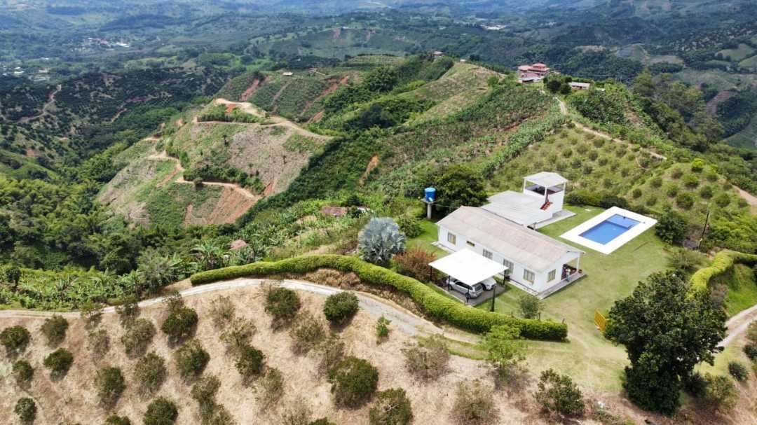 Venta Finca Productora Palestina Caldas