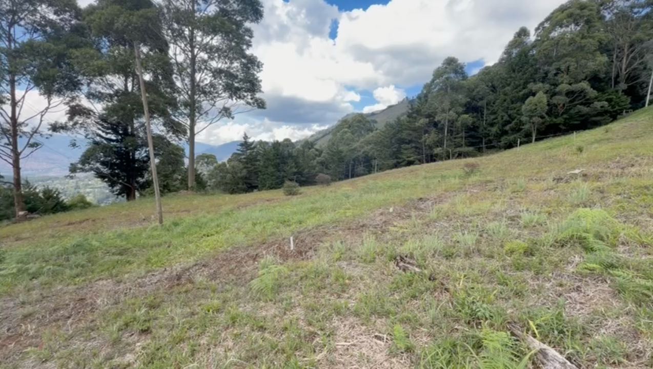 Venta Lote 10.900 m² en Las Palmas con Vista a La Ciudad — foto 4 de 5