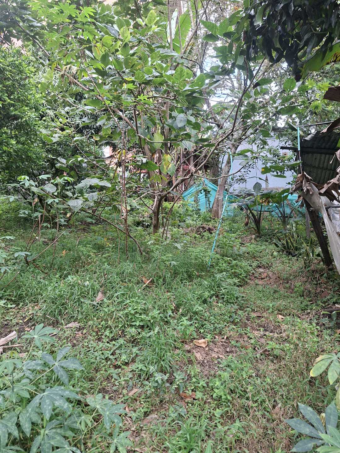 Venta Lote 478mts2 Envigado cerca a la Intermedia