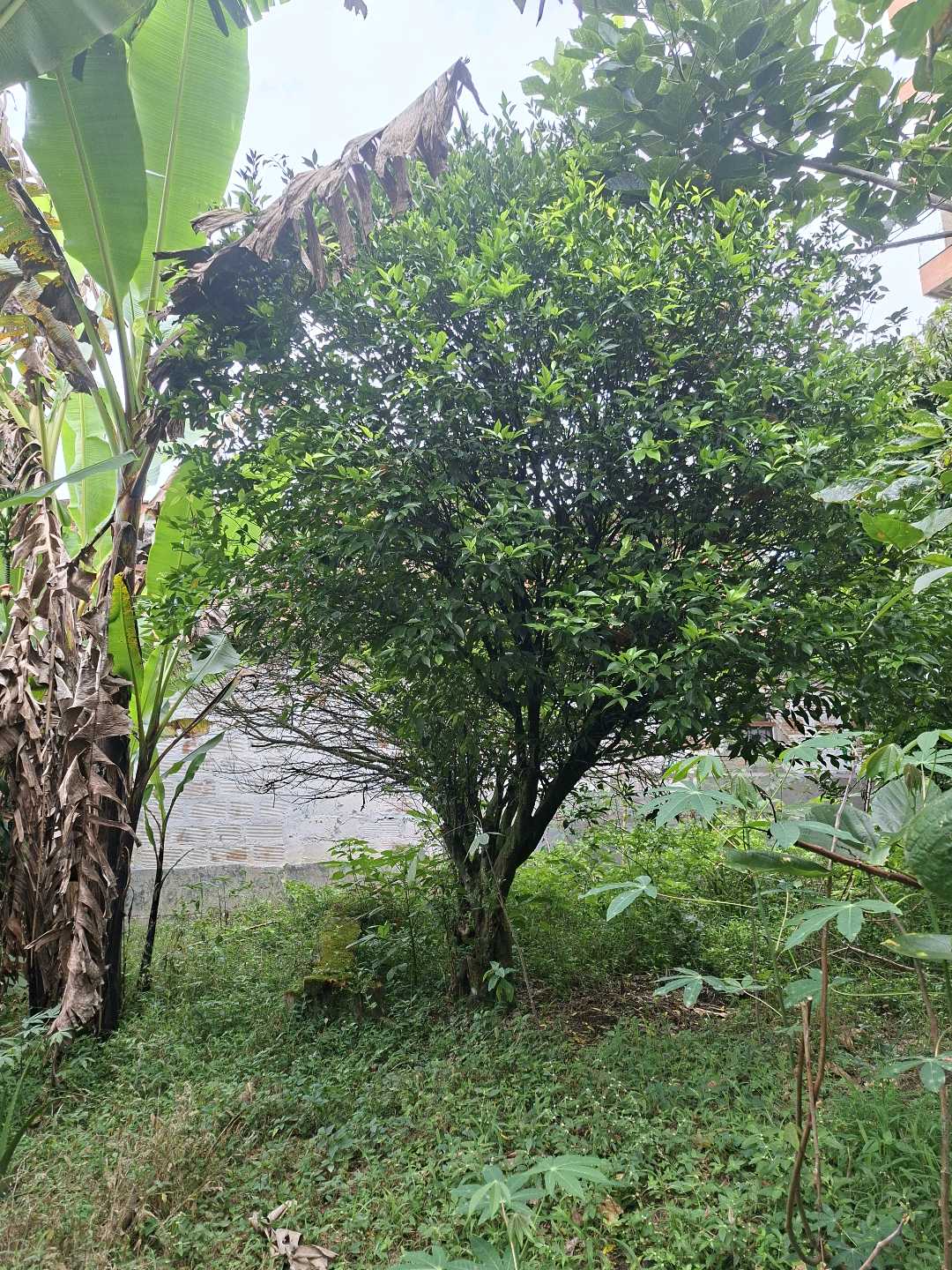Venta Lote 478mts2 Envigado cerca a la Intermedia
