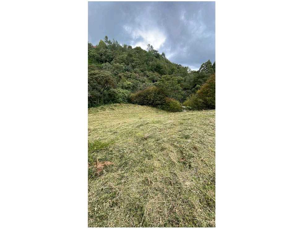 Venta Lote Alto De Palmas