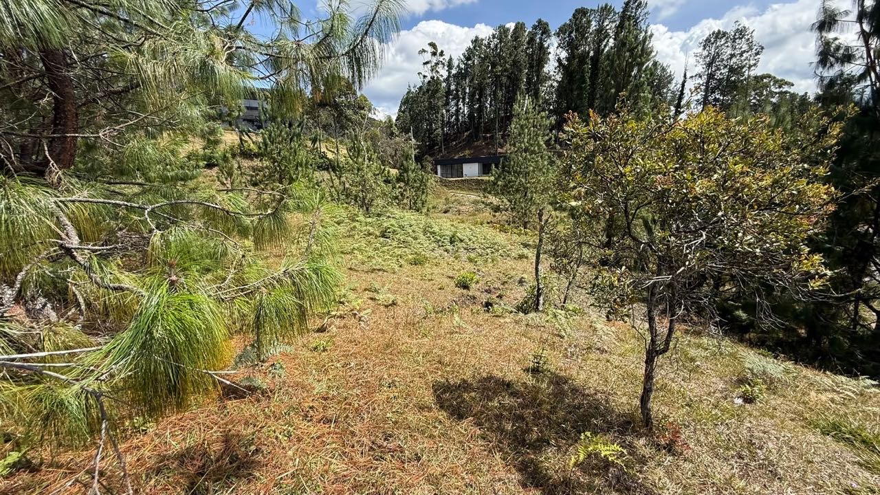 Venta Lote Alto De Palmas Medellín Antioquia