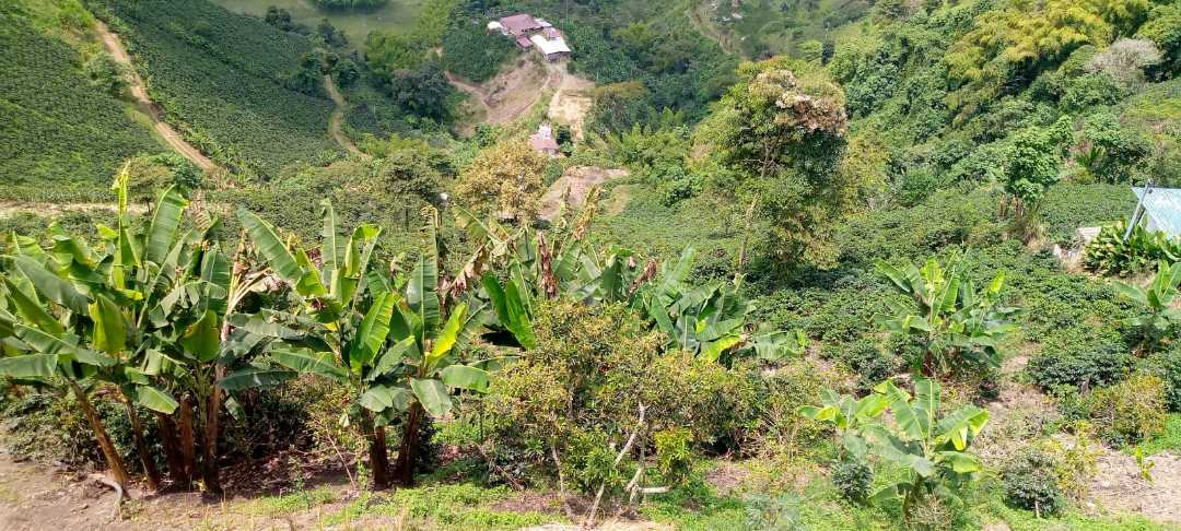 Venta Lote Alto Del Naranjo