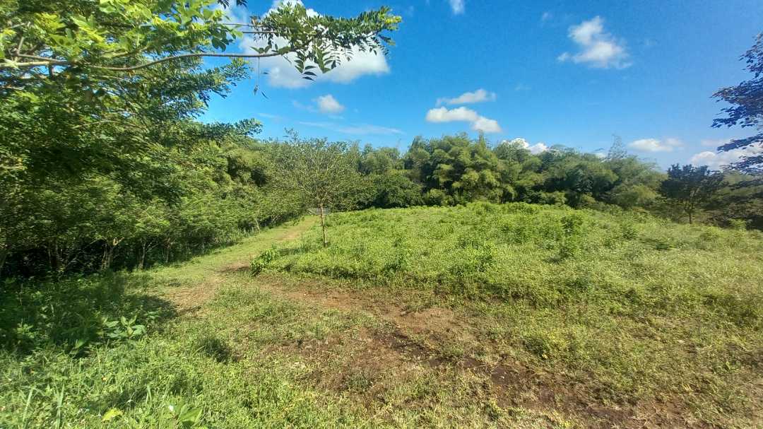 Venta Lote Cerritos Pereira