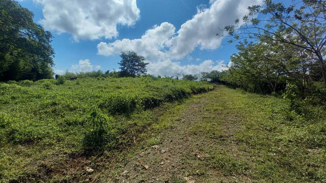Venta Lote Cerritos Pereira