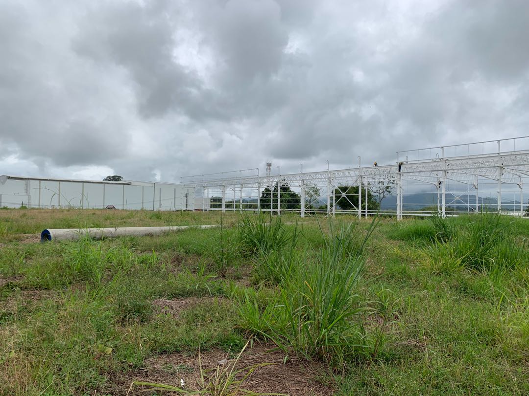 VENTA LOTE INDUSTRIAL EN CERRITOS PEREIRA