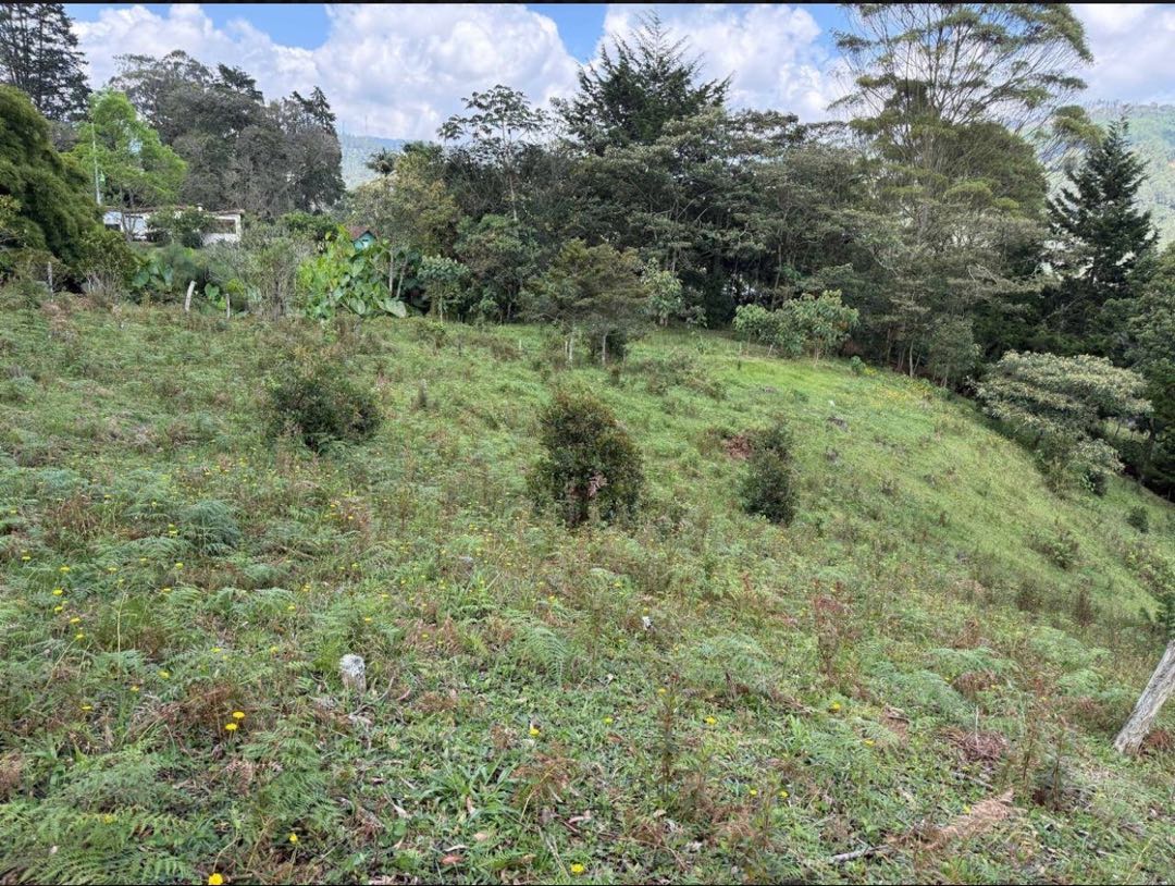 Venta lote llanogrande Antioquía