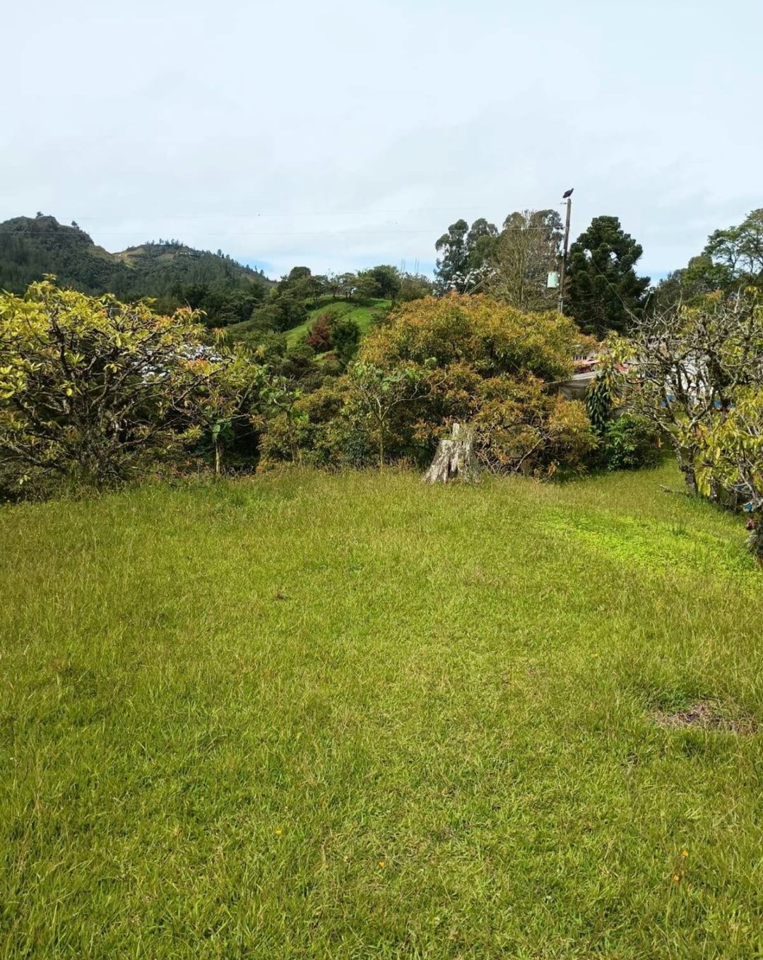 Venta lote para proyecto El Retiro Antioquía