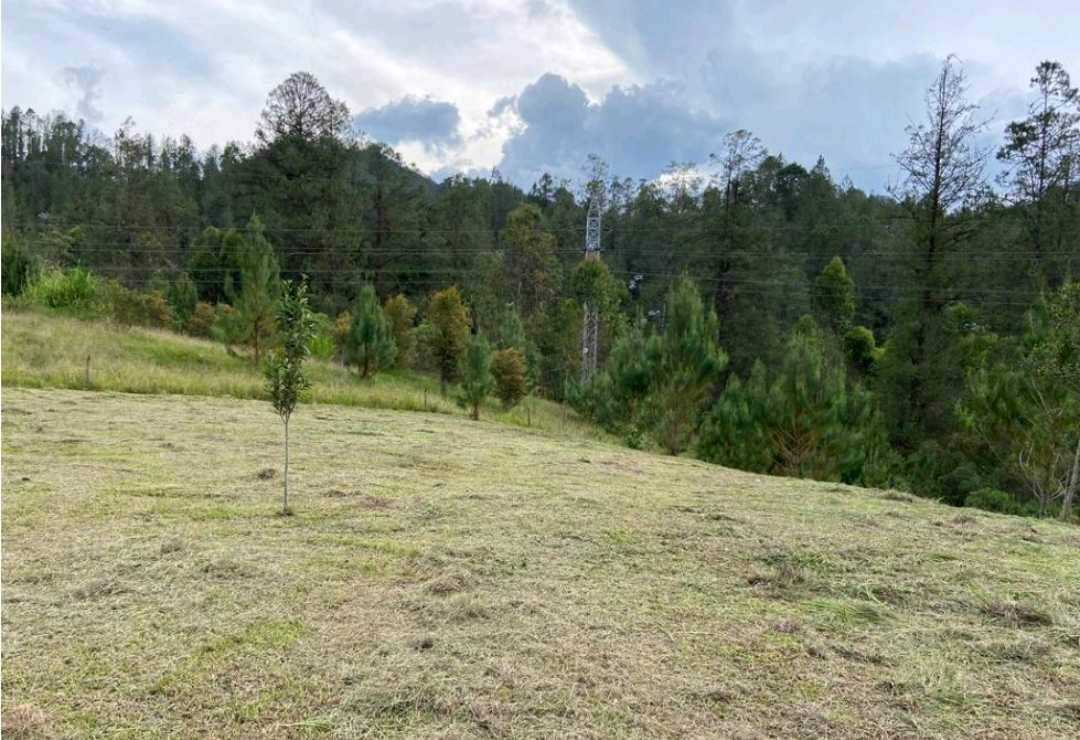 Venta Lote  El Retiro Medellín