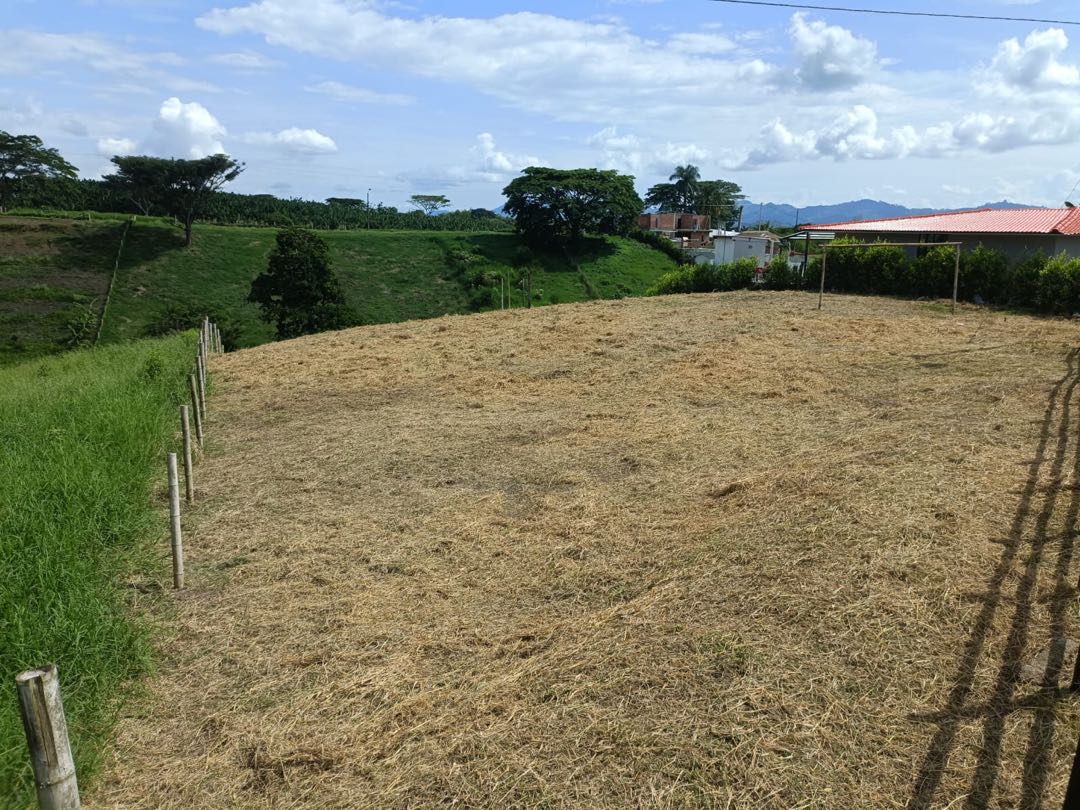 Venta lote vía Alcalá Cartago - 2