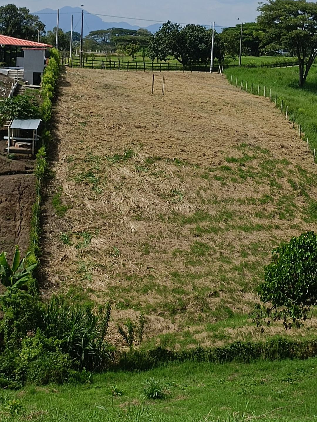 Venta lote vía Alcalá Cartago - 3