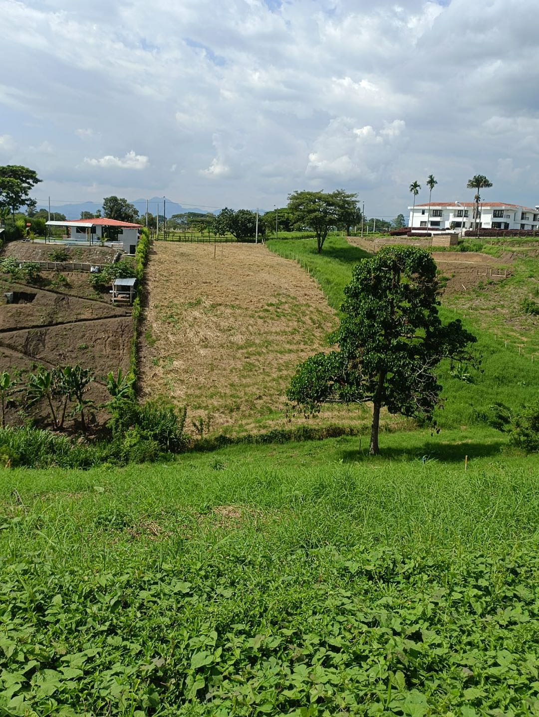 Venta lote vía Alcalá Cartago - 4