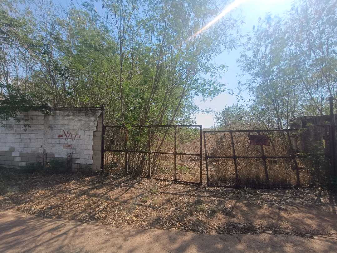 Terreno en venta en Mariara Municipio Diego Ibarra AJB-9791975 - Foto 1