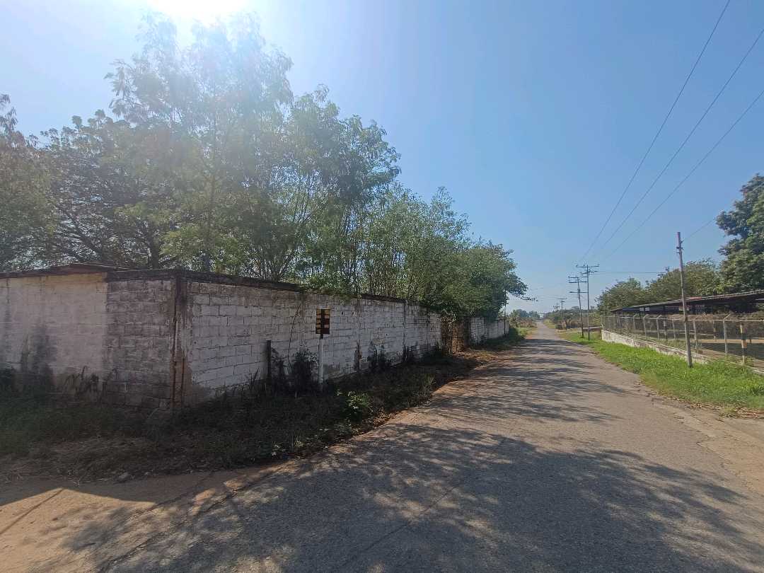 Terreno en venta en Mariara Municipio Diego Ibarra AJB-9791975 - Foto 3