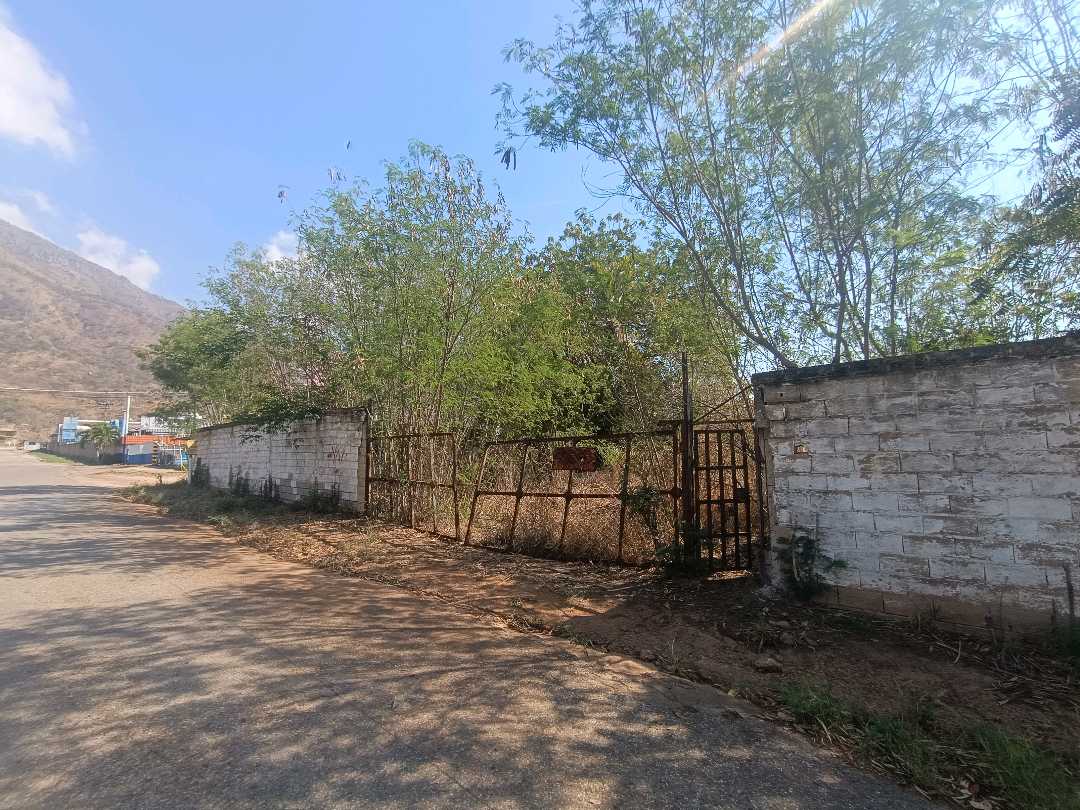Terreno en venta en Mariara Municipio Diego Ibarra AJB-9791975 - Foto 6