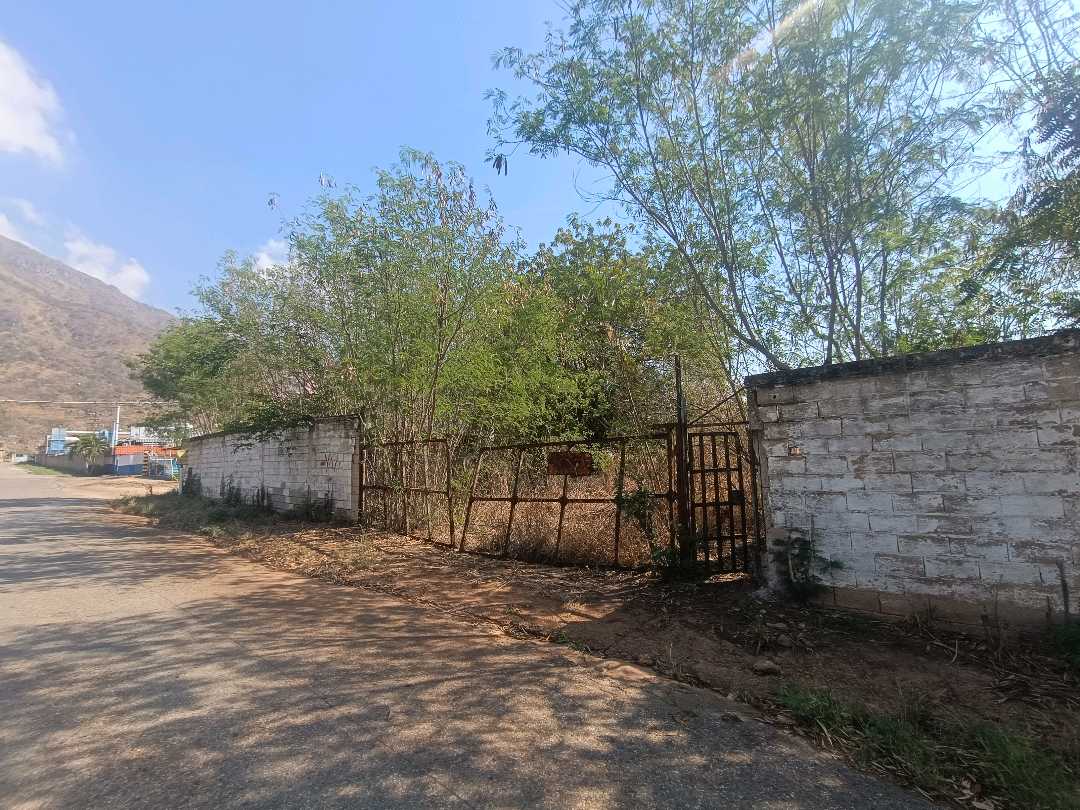 Terreno en venta en Mariara Municipio Diego Ibarra AJB-9791975 - Foto 7