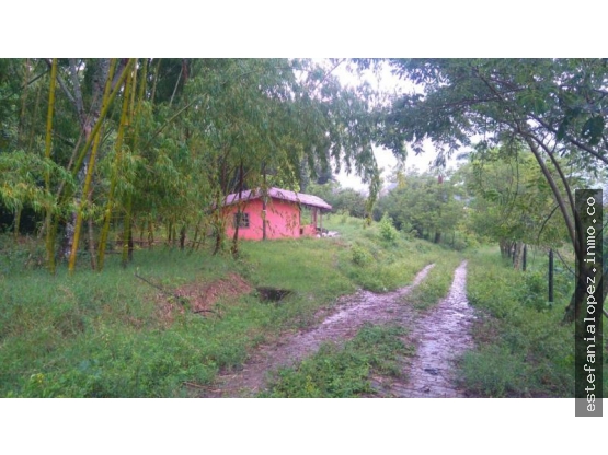 Lote en Venta en Amagá - 4