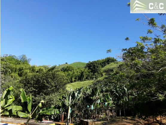 Hermoso finca referencia 4262 - 6