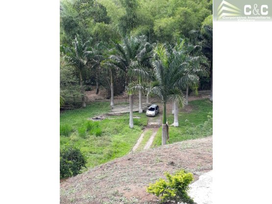 Hermoso finca referencia 4262 - 4