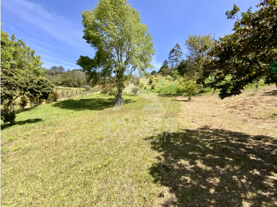 Lote Independiente Tunel Aeropuerto Variante Aeropuerto JMC (Rionegro)