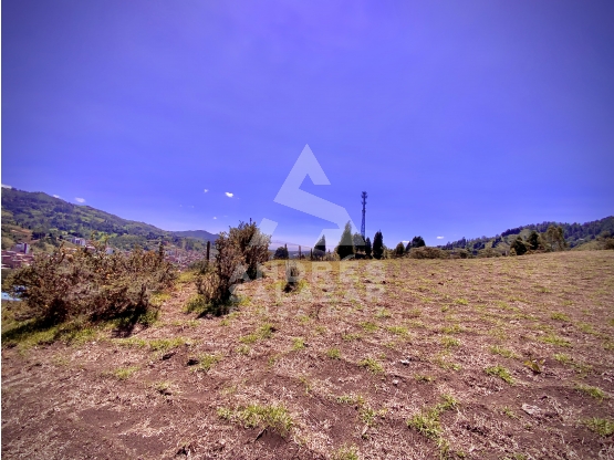 Venta Lote Bodega o Proyecto Apartamentos Guarne Autopista — foto 3