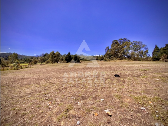 Venta Lote Bodega o Proyecto Apartamentos Guarne Autopista