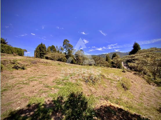 Venta Lote Bodega o Proyecto Apartamentos Guarne Autopista — foto 2