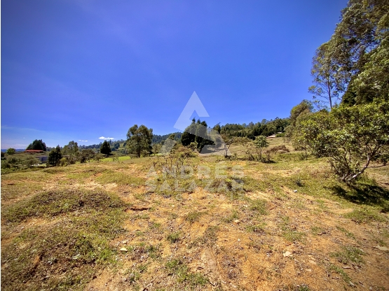 Venta Lote Bodega o Proyecto Apartamentos Guarne Autopista — foto 5