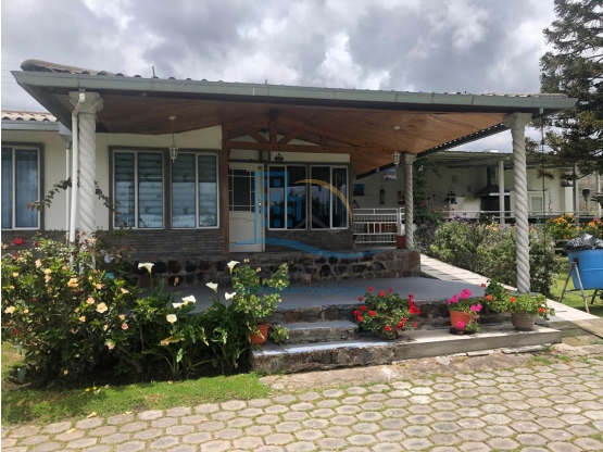 GALPON INDUSTRIAL EN VENTA SECTOR PIFO CON VIVIENDA - 4