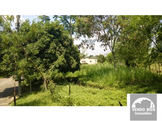 Vendo Lote plano en la Parcelación La Riverita, Buitrera Cali Sur — foto 4