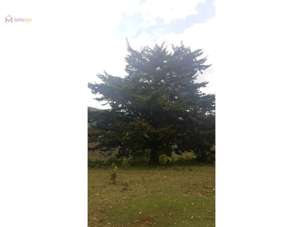 Archivo del Blog