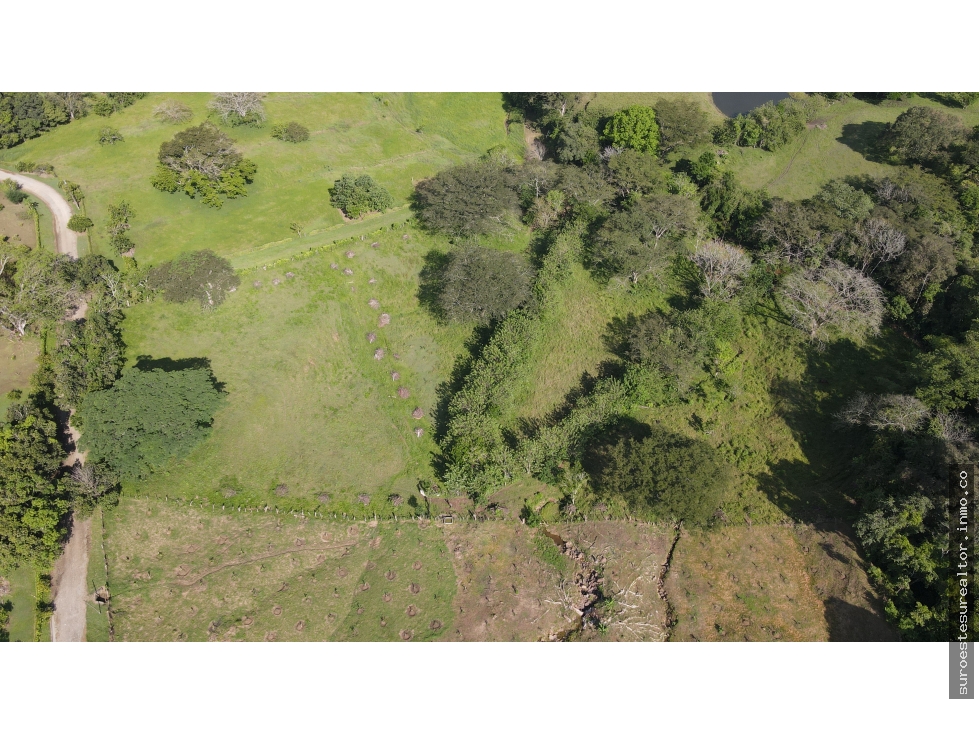VENTA DE LOTE EN LA PINTADA SUROESTE ANTIOQUEÑO