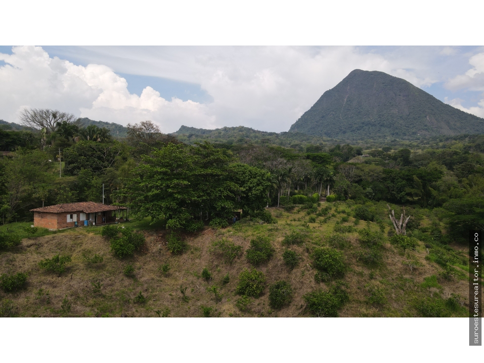 VENTA DE FINCA EN VENECIA SUROESTE ANTIOQUEÑO