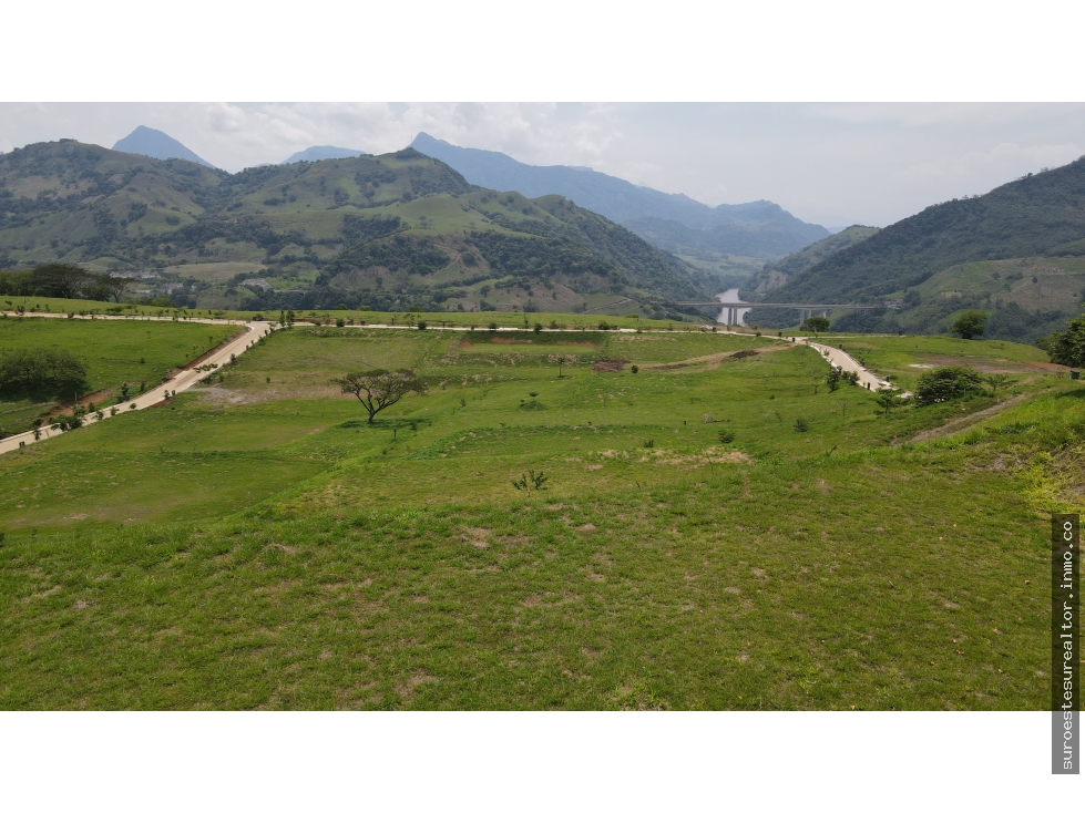 VENTA DE LOTE SALGAR SUROESTE ANTIOQUEÑO