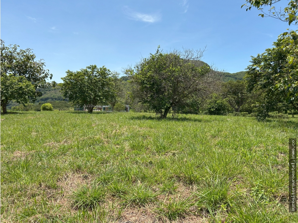 VENTA DE LOTE EN TARSO SUROESTE ANTIOQUEÑO