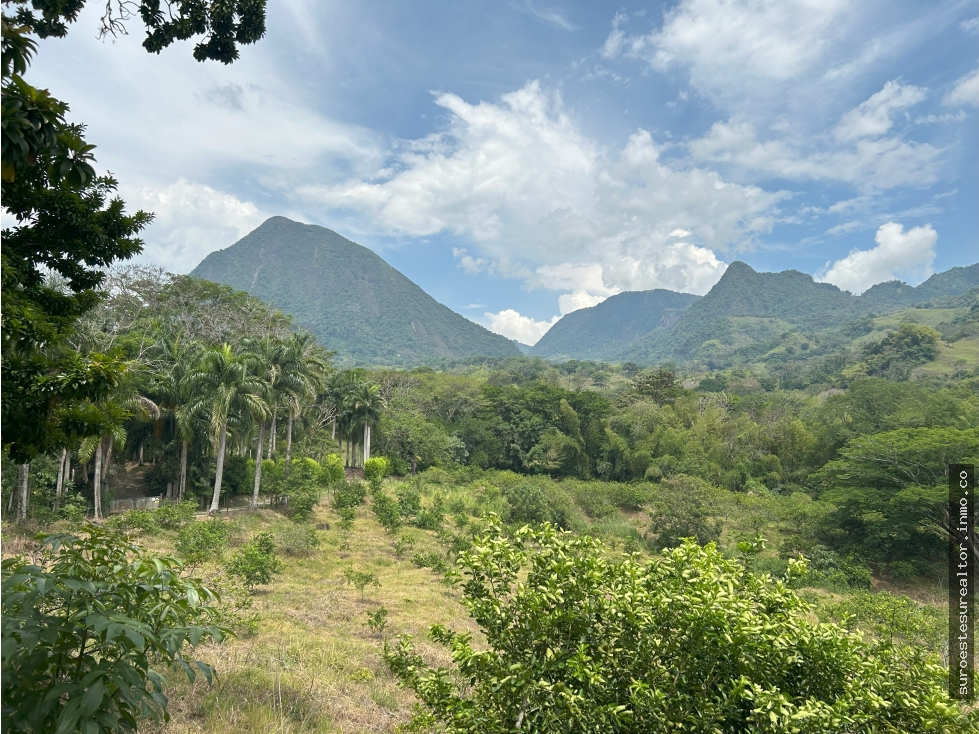 VENTA DE FINCA EN VENECIA SUROESTE ANTIOQUEÑO
