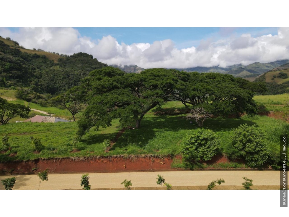 VENTA DE LOTE SALGAR SUROESTE DE ANTIOQUIA
