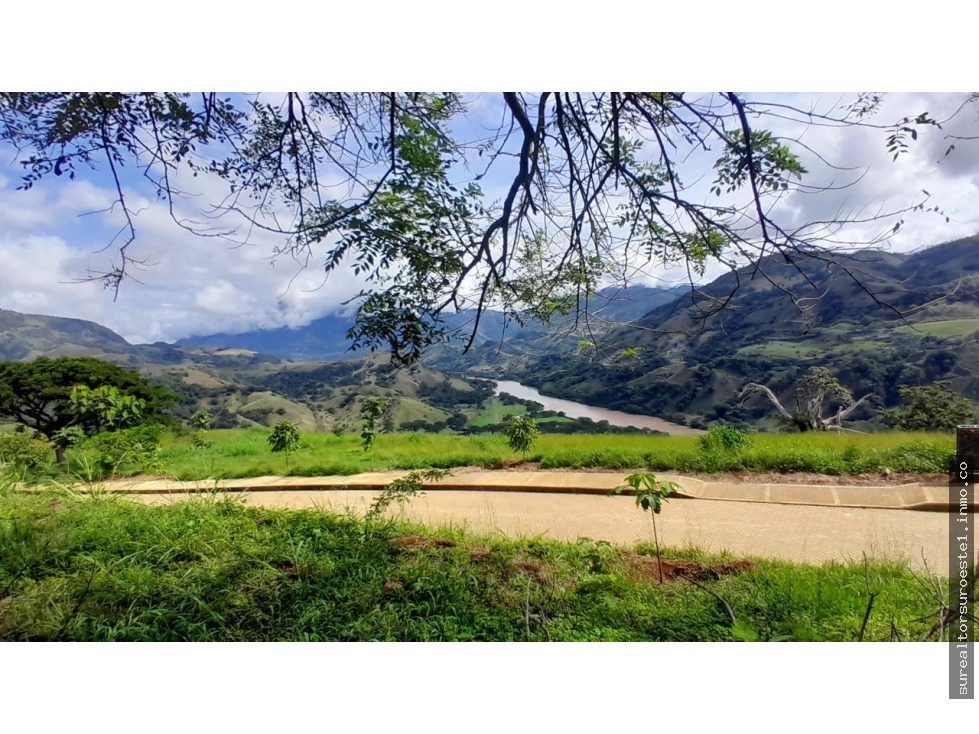 VENTA DE LOTE SALGAR SUROESTE DE ANTIOQUIA