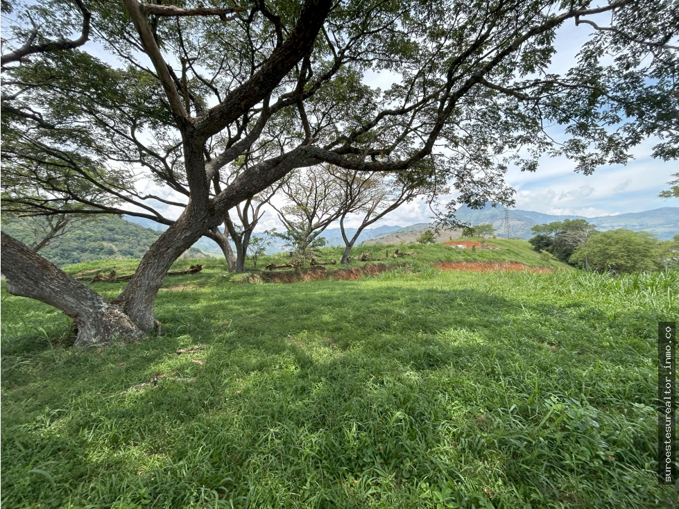 VENTA DE LOTE SALGAR SUROESTE DE ANTIOQUIA