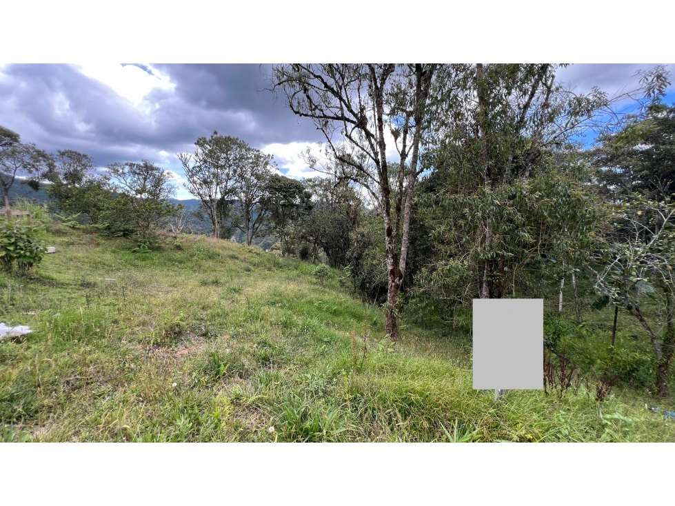 Lote en el Retiro exclusiva parcelación senderos ecológicos foto 10