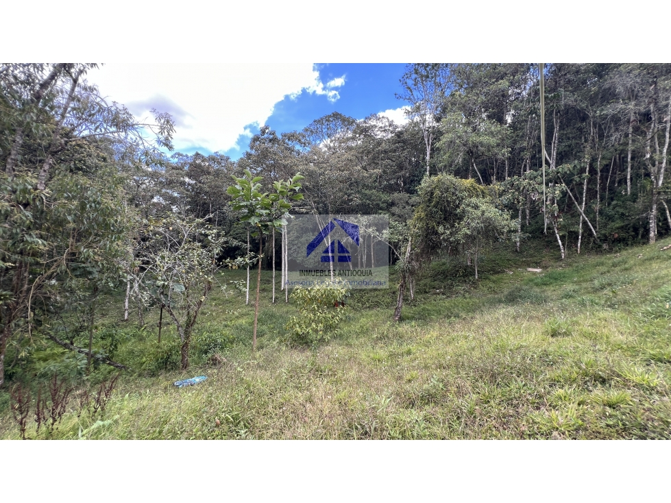 Lote en el Retiro exclusiva parcelación senderos ecológicos foto 11