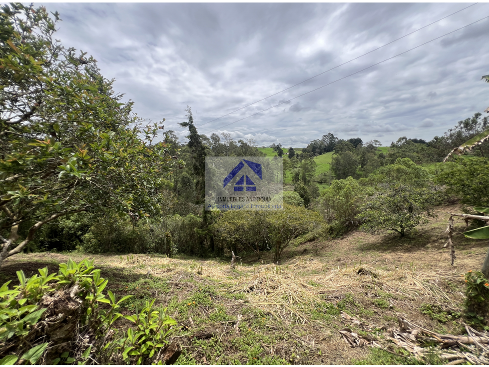 Lote Llanogrande desarrollo hotelero comercial hospital aeropuerto foto 2