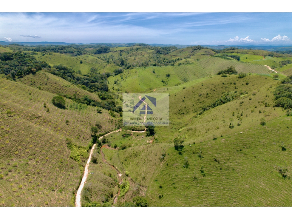 Finca ganadera hechaen venta buenas aguas 120 hectareas permuta
