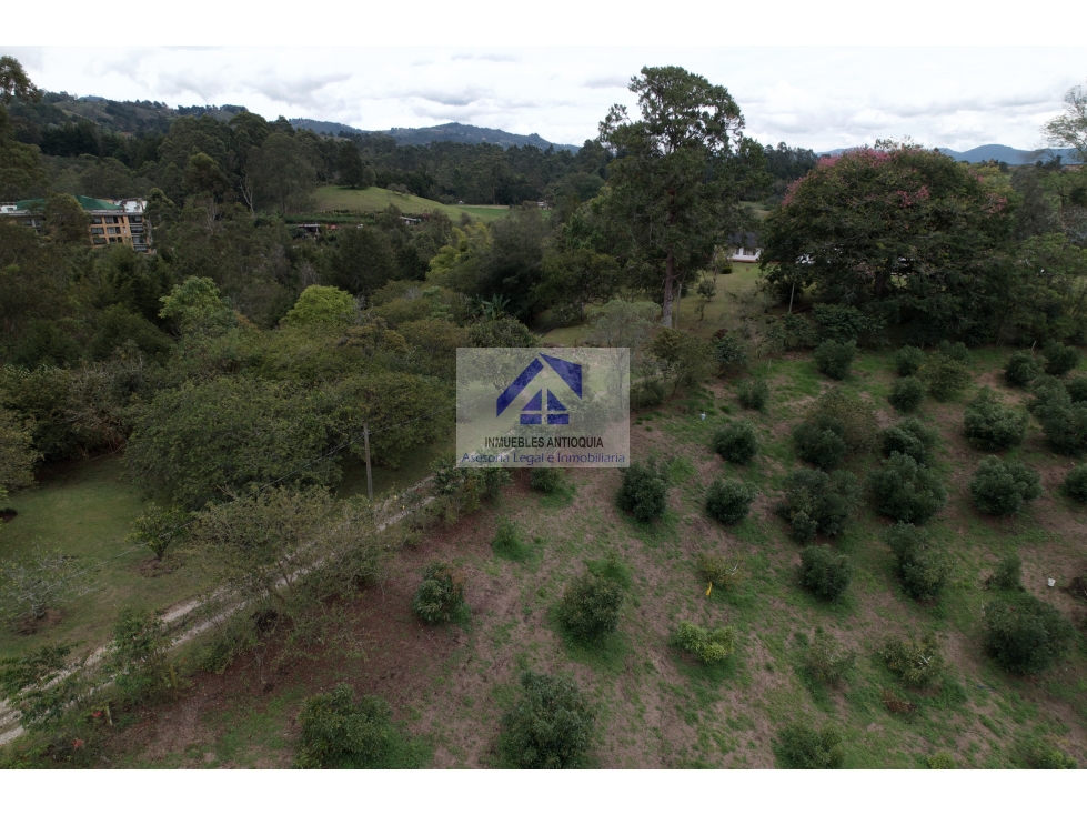 Lote Llanogrande desarrollo hotelero comercial hospital aeropuerto foto 4