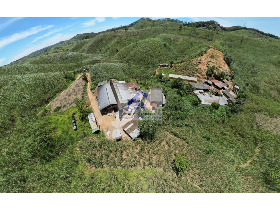 Finca trapiche panela sembrada caña vías aguas ubicación tradicion