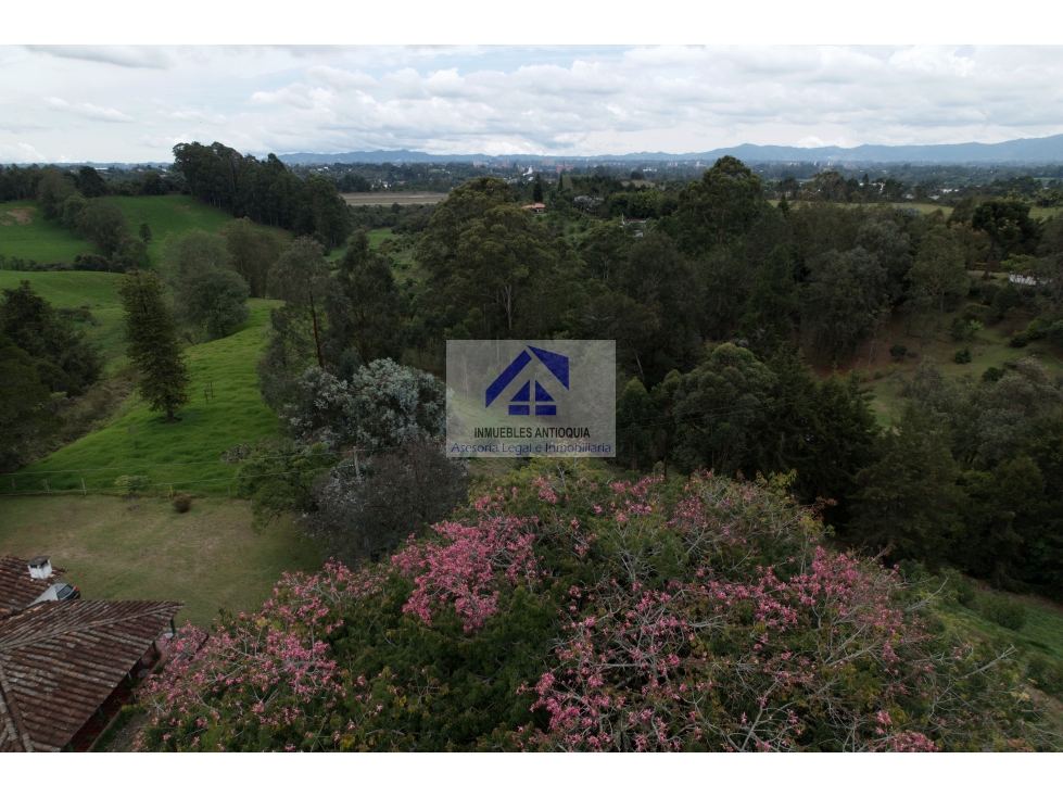 Lote Llanogrande desarrollo hotelero comercial hospital aeropuerto foto 3