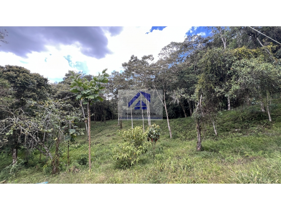Lote en el Retiro exclusiva parcelación senderos ecológicos foto 5