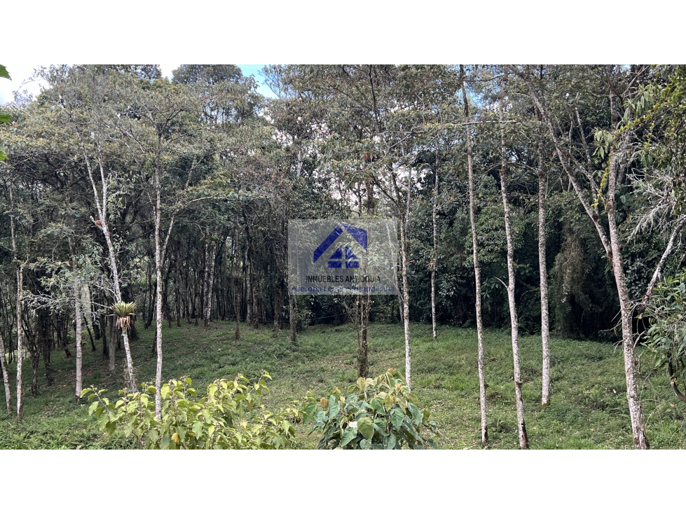 Lote en el Retiro exclusiva parcelación senderos ecológicos foto 7